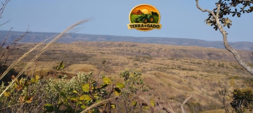 fazenda-a-venda-em-formosa-go-1147-hectares-para-pecuaria-ou-reserva-big-0