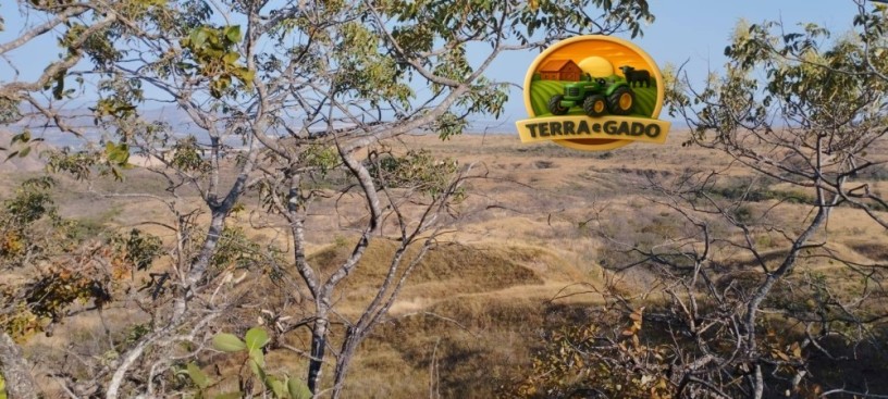 fazenda-a-venda-em-formosa-go-1147-hectares-para-pecuaria-ou-reserva-big-3