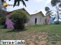 sitio-a-venda-em-manaus-km-15-da-br-174-small-2