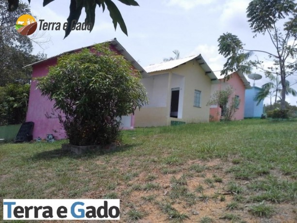 sitio-a-venda-em-manaus-km-15-da-br-174-big-5