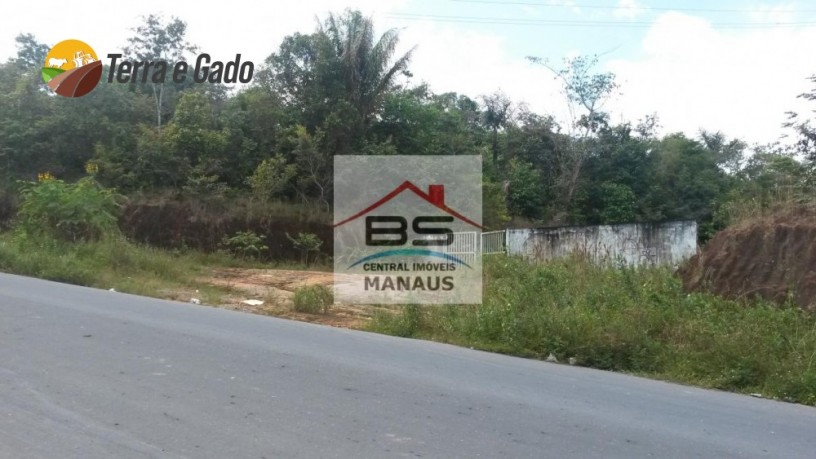 terreno-industrial-com-incentivo-fiscal-manaus-amazonas-big-1