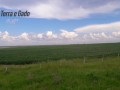 18-hectares-itaqui-rs-small-2