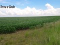 18-hectares-itaqui-rs-small-3