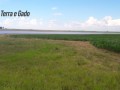 18-hectares-itaqui-rs-small-0