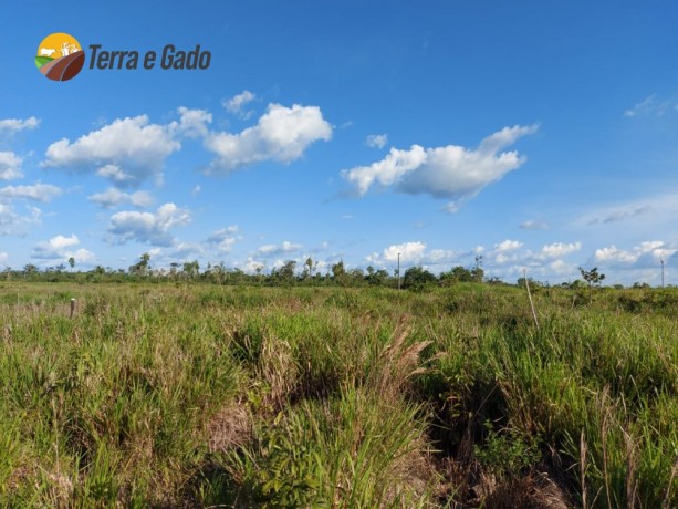 arrendamento-5-anos-carencia-120-alqueires-no-para-big-1