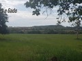1000-hectares-rio-verde-ms-small-2