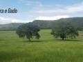 1000-hectares-rio-verde-ms-small-4