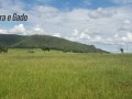 1000-hectares-rio-verde-ms-small-0