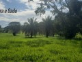 1000-hectares-rio-verde-ms-small-8