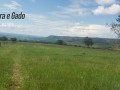 1000-hectares-rio-verde-ms-small-1