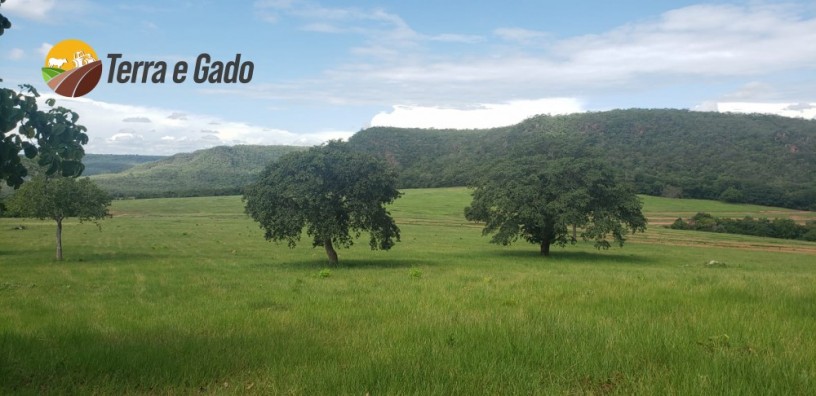 1000-hectares-rio-verde-ms-big-4