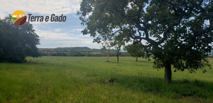 1000-hectares-rio-verde-ms-big-3