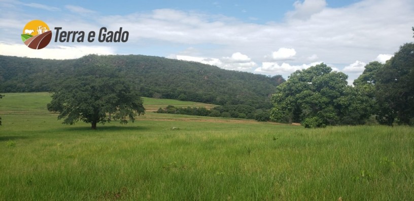 1000-hectares-rio-verde-ms-big-5