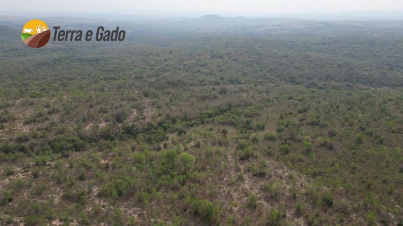 360-hectares-camapua-ms-big-1