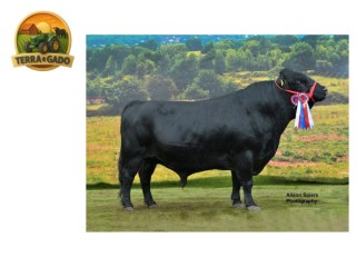 semen-dexter-apple-coda-avaliacao-linear-ex94
