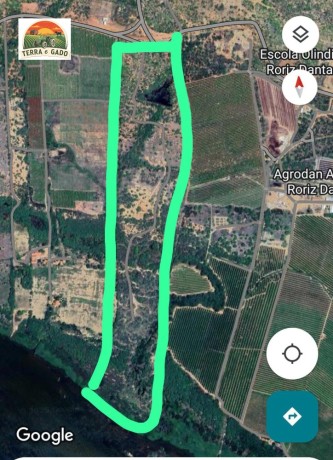 vendo-fazenda-vizinho-a-agrodan-as-margens-do-rio-sao-francisco-localizado-na-zona-rural-da-cidade-de-belem-do-sao-francisco-pe-big-1