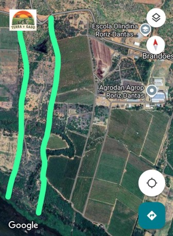 vendo-fazenda-vizinho-a-agrodan-as-margens-do-rio-sao-francisco-localizado-na-zona-rural-da-cidade-de-belem-do-sao-francisco-pe-big-0