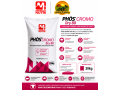phos-cromo-dry-80-suplemento-mineral-para-bovinos-de-corte-marilia-nutri-small-0