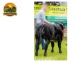 semen-british-blue-solwayview-dynamite-azul-belga-todo-preto-bezerros-vendidos-ate-13000-euros-small-3