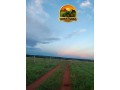 arrendamento-para-lavoura-em-jussara-go-ate-2100-hectares-small-0
