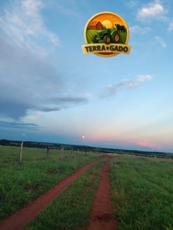 arrendamento-para-lavoura-em-jussara-go-ate-2100-hectares-big-0