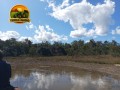 area-rural-a-venda-no-tocantins-225-alqueires-small-3