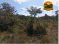 area-rural-a-venda-no-tocantins-225-alqueires-small-4