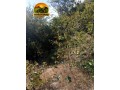 area-rural-a-venda-no-tocantins-225-alqueires-small-2