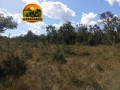 area-rural-a-venda-no-tocantins-225-alqueires-small-1