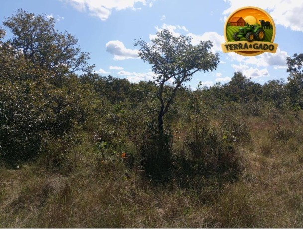 area-rural-a-venda-no-tocantins-225-alqueires-big-4
