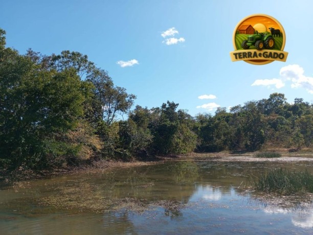 area-rural-a-venda-no-tocantins-225-alqueires-big-0