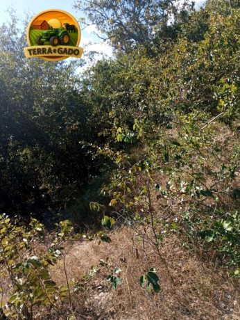area-rural-a-venda-no-tocantins-225-alqueires-big-2