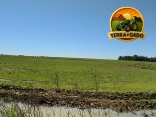 arrendamento-agricola-para-cultivo-de-arroz-na-fronteira-oeste-do-rio-grande-do-sul