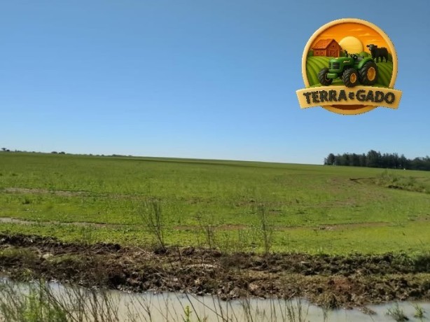 arrendamento-agricola-para-cultivo-de-arroz-na-fronteira-oeste-do-rio-grande-do-sul-big-0
