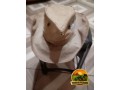 chapeu-artesanal-de-lona-de-caminhao-manaus-small-1