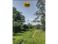 fazenda-a-venda-em-florianopi-70-hectares-com-estrutura-completa-small-4
