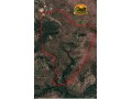fazenda-a-venda-em-florianopi-70-hectares-com-estrutura-completa-small-1