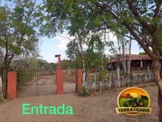 fazenda-a-venda-em-florianopi-70-hectares-com-estrutura-completa