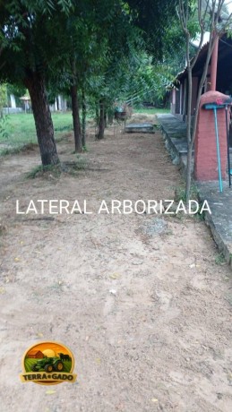 fazenda-a-venda-em-florianopi-70-hectares-com-estrutura-completa-big-3