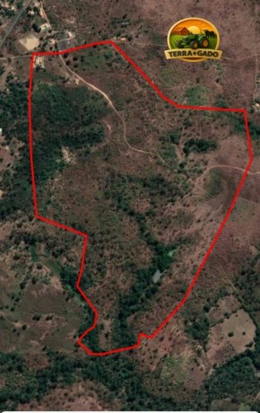 fazenda-a-venda-em-florianopi-70-hectares-com-estrutura-completa-big-1