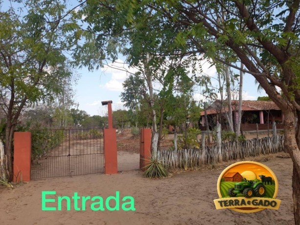 fazenda-a-venda-em-florianopi-70-hectares-com-estrutura-completa-big-0