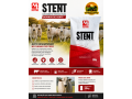 stent-proteico-suplemento-para-bovinos-de-corte-alto-desempenho-no-ganho-de-peso-small-0