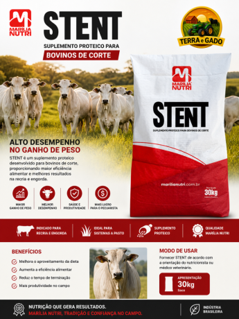 stent-proteico-suplemento-para-bovinos-de-corte-alto-desempenho-no-ganho-de-peso-big-0