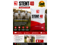 stent-40-suplemento-proteico-para-bovinos-de-corte-small-0