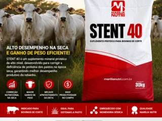 stent-40-suplemento-proteico-para-bovinos-de-corte