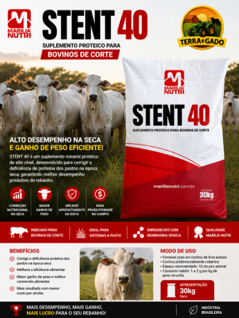 stent-40-suplemento-proteico-para-bovinos-de-corte-big-0