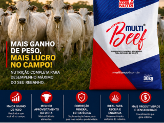 multibeef-suplemento-para-bovinos-de-corte-alto-ganho-de-peso