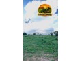 fazenda-a-venda-em-sao-goncalo-do-gurgueiapi-464-hectares-small-0