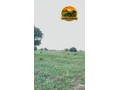 fazenda-a-venda-em-sao-goncalo-do-gurgueiapi-464-hectares-small-1
