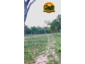 fazenda-a-venda-em-sao-goncalo-do-gurgueiapi-464-hectares-small-2